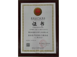 安全生產(chǎn)標(biāo)準(zhǔn)化三級證書